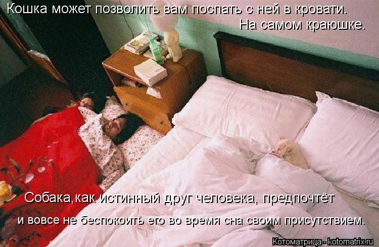 Кошка может позволить вам поспать с ней в кровати. На самом краюшке. Собака,как истинный друг человек... Котоматрица: Кошка может позволить вам поспать с ней в кровати. На самом краюшке. Собака,как истинный друг человека, предпочтёт и вовсе не беспокоить его