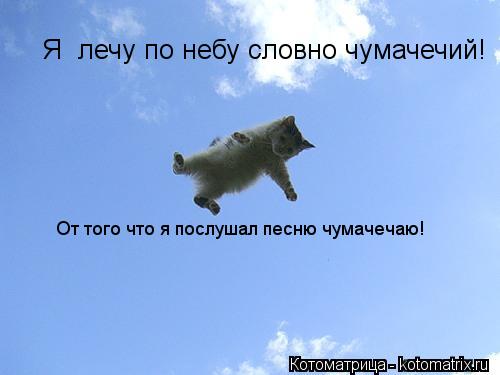 Я лечу по небу словно чумачечий! От того что я послушал песню чумачечаю!... Котоматрица: Я лечу по небу словно чумачечий! От того что я послушал песню чумачечаю!