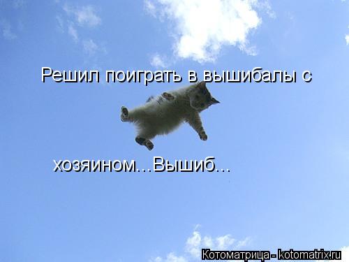 Решил поиграть в вышибалы с хозяином...Вышиб...... Котоматрица: Решил поиграть в вышибалы с хозяином...Вышиб...