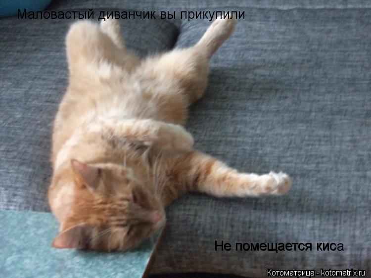 Маловастый диванчик вы прикупили Не помещается кис Не помещается киса... Котоматрица: Маловастый диванчик вы прикупили Не помещается кис Не помещается киса