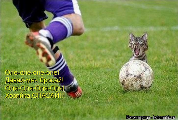 Оле-оле-оле-оле! Давай-мяч бросай! Оля-Оля-Оля-Оля! Хозяйка,СПАСАЙ!!!... Котоматрица: Оле-оле-оле-оле! Давай-мяч бросай! Оля-Оля-Оля-Оля! Хозяйка,СПАСАЙ!!!