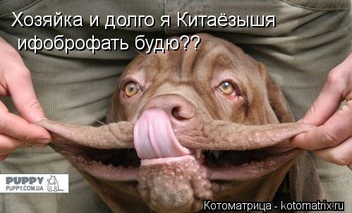 Котоматрица: Хозяйка и долго я Китаёзышя  ифоброфать будю??