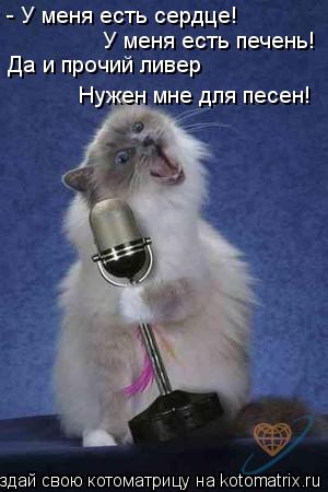 Котоматрица: - У меня есть сердце! У меня есть печень! Да и прочий ливер Нужен мне для песен!
