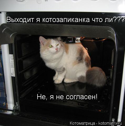 Котоматрица: Выходит я котозапиканка что ли??? Не, я не согласен!