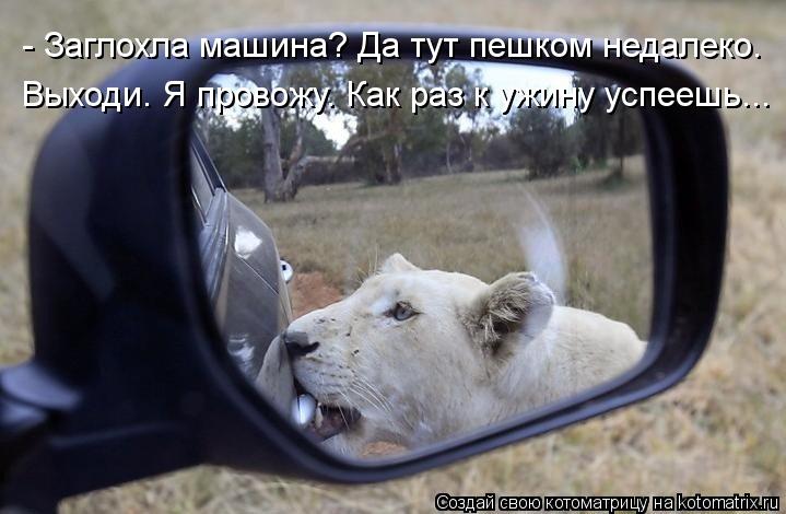 - Заглохла машина? Да тут пешком недалеко. Выходи. Я провожу. Как раз к ужину успеешь...... Котоматрица: - Заглохла машина? Да тут пешком недалеко. Выходи. Я провожу. Как раз к ужину успеешь...
