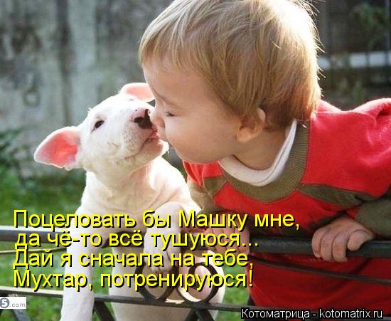 Поцеловать бы Машку мне, да чё-то всё тушуюся... Дай я сначала на тебе, Мухтар, потренируюся!... Котоматрица: Поцеловать бы Машку мне, да чё-то всё тушуюся... Дай я сначала на тебе, Мухтар, потренируюся!