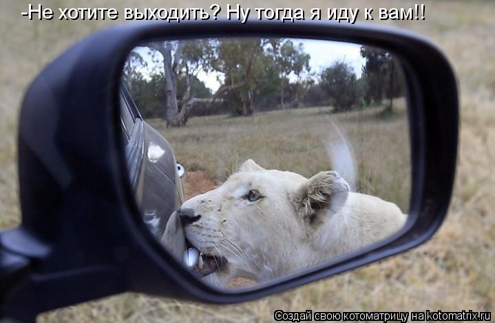 -Не хотите выходить? Ну тогда я иду к вам!!... Котоматрица: -Не хотите выходить? Ну тогда я иду к вам!!