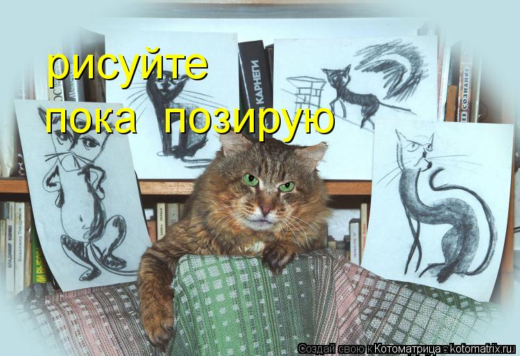 Котоматрица: рисуйте пока  позирую