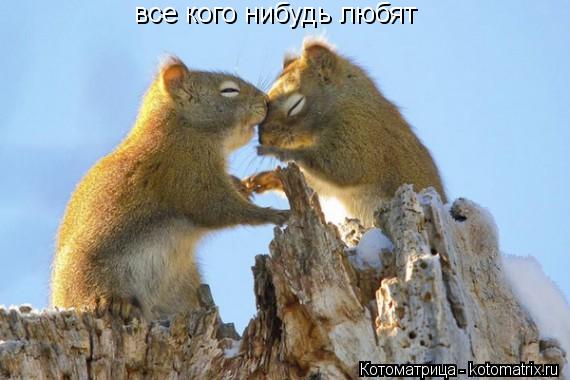 все кого нибудь любят... Котоматрица: все кого нибудь любят