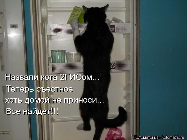 Назвали кота 2ГИСом... Теперь съестное хоть домой не приноси - найдет все!!! Назвали кота 2ГИСом...... Котоматрица: Назвали кота 2ГИСом... Теперь съестное хоть домой не приноси - найдет все!!! Назвали кота 2ГИСом... Теперь съестное хоть домой не приноси... В