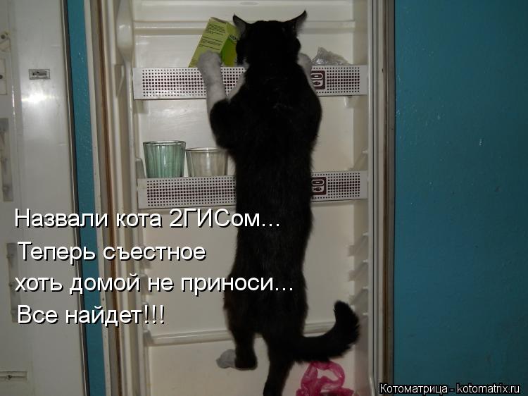 Котоматрица: Назвали кота 2ГИСом...   Теперь съестное хоть домой не приноси - найдет все!!! Назвали кота 2ГИСом...    Теперь съестное  хоть домой не приноси... В