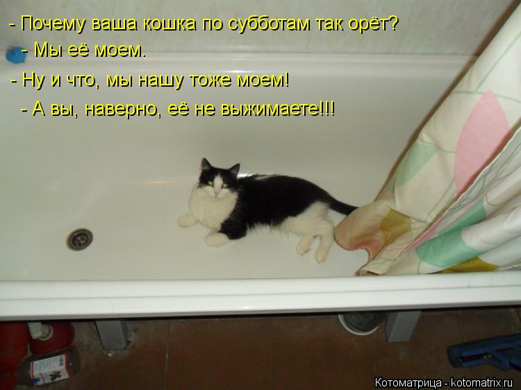 - Почему ваша кошка по субботам так орёт? - Мы её моем. - Ну и что, мы нашу тоже моем! - А вы, нав... Котоматрица: - Почему ваша кошка по субботам так орёт? - Мы её моем. - Ну и что, мы нашу тоже моем! - А вы, наверно, её не выжимаете!!!
