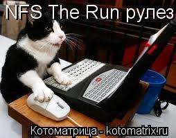 Котоматрица: NFS The Run рулез