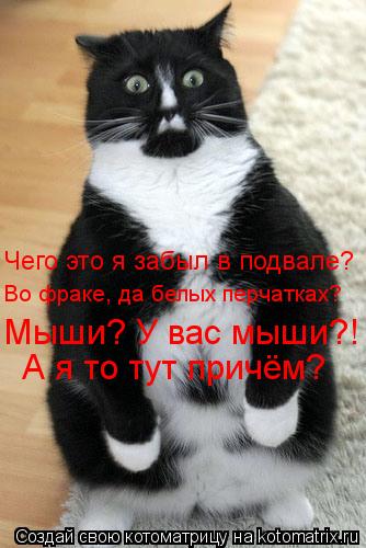 Котоматрица: Чего это я забыл в подвале? Во фраке, да белых перчатках? Мыши? У вас мыши?! А я то тут причём?
