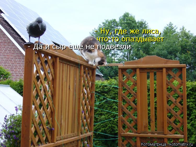 что-то опаздывает - Да и сыр еще не подвезли - Ну, где же лиса,... Котоматрица: что-то опаздывает - Да и сыр еще не подвезли - Ну, где же лиса,
