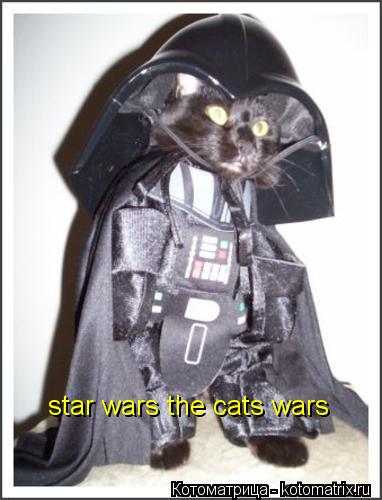 star wars the cats wars... Котоматрица: star wars the cats wars