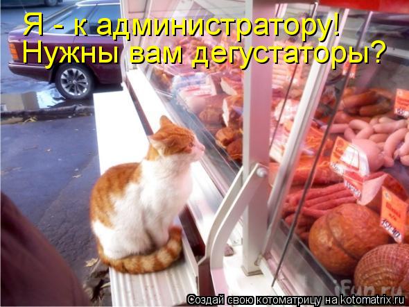 Нужны вам дегустаторы? Я - к администратору!... Котоматрица: Нужны вам дегустаторы? Я - к администратору!
