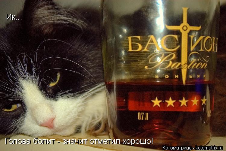 Ик... Голова болит - значит отметил хорошо!... Котоматрица: Ик... Голова болит - значит отметил хорошо!