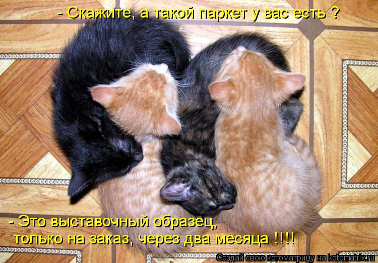 Котоматрица: - Скажите, а такой паркет у вас есть ? - Это выставочный образец,  только на заказ, через два месяца !!!!