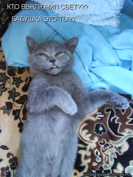 Котоматрица: КТО ВЫКЛЮЧИЛ СВЕТ??? БАБУШКА ЭТО ТЫ??