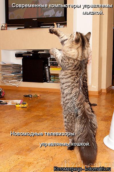 Котоматрица: Современные компьютеры управляемы  мышкой. Новомодные телевизоры управляемы кошкой.