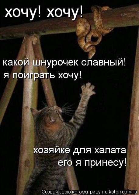 Котоматрица: хочу! хочу! какой шнурочек славный! я поиграть хочу! хозяйке для халата его я принесу!