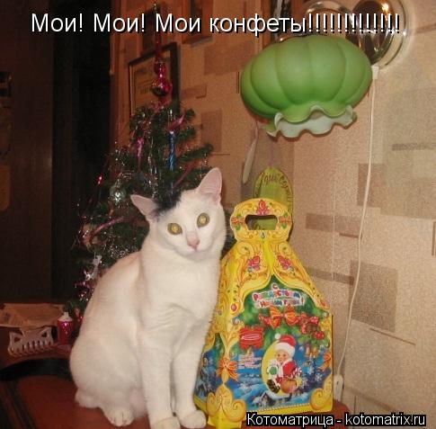 Мои! Мои! Мои конфеты!!!!!!!!!!!!!... Котоматрица: Мои! Мои! Мои конфеты!!!!!!!!!!!!!