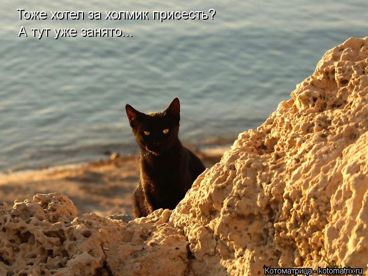 Котоматрица: Тоже хотел за холмик присесть? А тут уже занято...