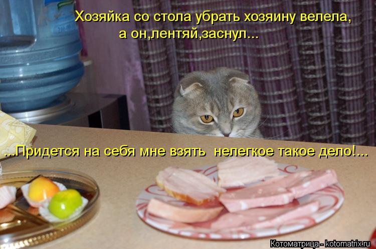 Котоматрица: Хозяйка со стола убрать хозяину велела, а он,лентяй,заснул... ...Придется на себя мне взять  нелегкое такое дело!...
