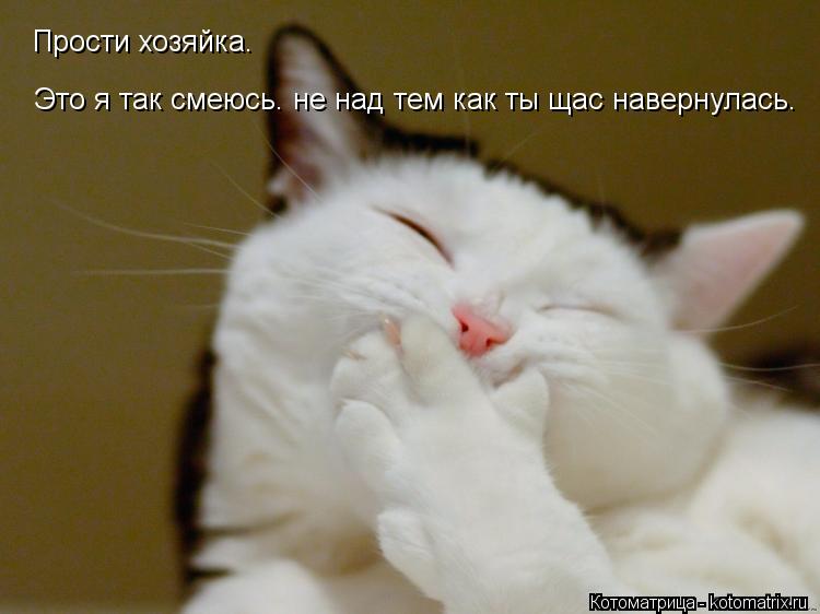 Прости хозяйка. Это я так смеюсь. не над тем как ты щас навернулась.... Котоматрица: Прости хозяйка. Это я так смеюсь. не над тем как ты щас навернулась.