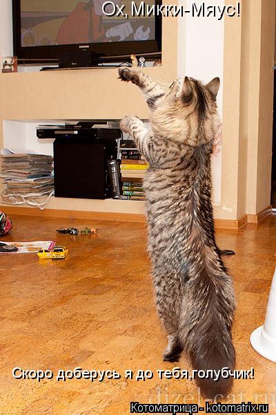 Котоматрица: Ох,Микки-Мяус! Скоро доберусь я до тебя,голубчик!