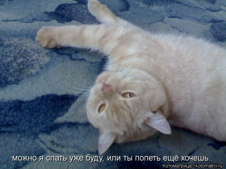 можно я спать уже буду, или ты попеть ещё хочешь..... Котоматрица: можно я спать уже буду, или ты попеть ещё хочешь..