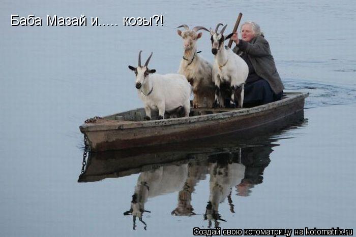 Баба Мазай и..... козы?!... Котоматрица: Баба Мазай и..... козы?!