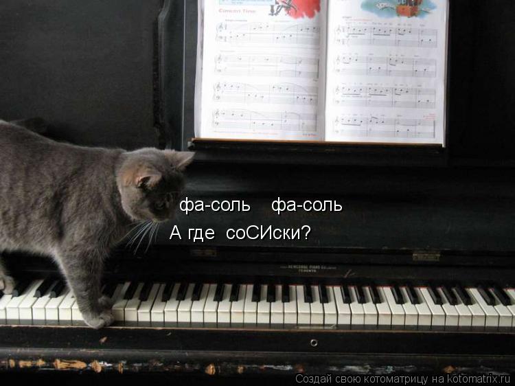 фа-соль фа-соль А где соСИски?... Котоматрица: фа-соль фа-соль А где соСИски?