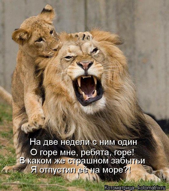 На две недели с ним один О горе мне, ребята, горе! В каком же страшном забытьи Я отпустил её на море?... Котоматрица: На две недели с ним один О горе мне, ребята, горе! В каком же страшном забытьи Я отпустил её на море?!