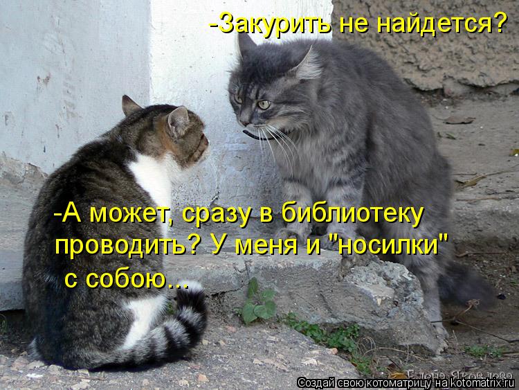 Котоматрица: -Закурить не найдется? -А может, сразу в библиотеку  проводить? У меня и "носилки"  с собою...
