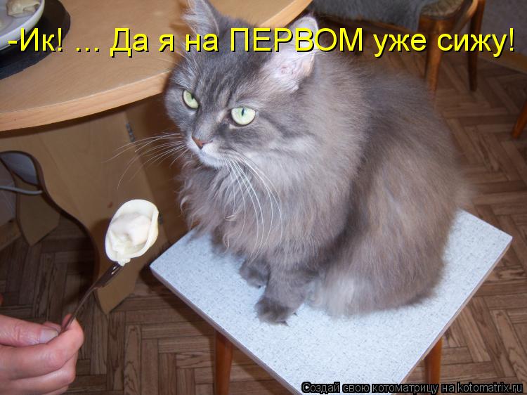 Котоматрица: -Ик! ... Да я на ПЕРВОМ уже сижу!