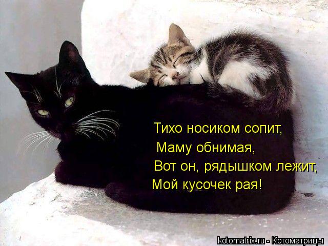 Тихо носиком сопит, Маму обнимая, Вот он, рядышком лежит, Мой кусочек рая!... Котоматрица: Тихо носиком сопит, Маму обнимая, Вот он, рядышком лежит, Мой кусочек рая!
