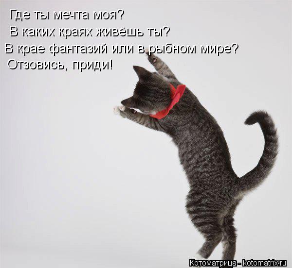 Где ты мечта моя? В каких краях живёшь ты? В крае фантазий или в рыбном мире? Отзовись, приди!... Котоматрица: Где ты мечта моя? В каких краях живёшь ты? В крае фантазий или в рыбном мире? Отзовись, приди!