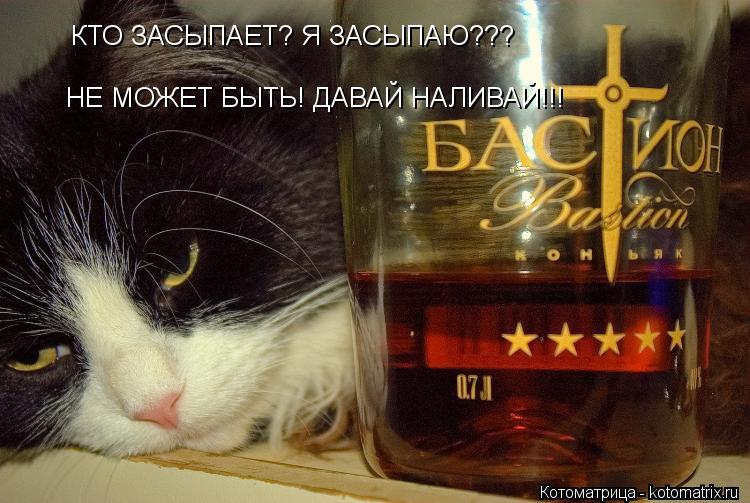 КТО ЗАСЫПАЕТ? Я ЗАСЫПАЮ??? НЕ МОЖЕТ БЫТЬ! ДАВАЙ НАЛИВАЙ!!!... Котоматрица: КТО ЗАСЫПАЕТ? Я ЗАСЫПАЮ??? НЕ МОЖЕТ БЫТЬ! ДАВАЙ НАЛИВАЙ!!!