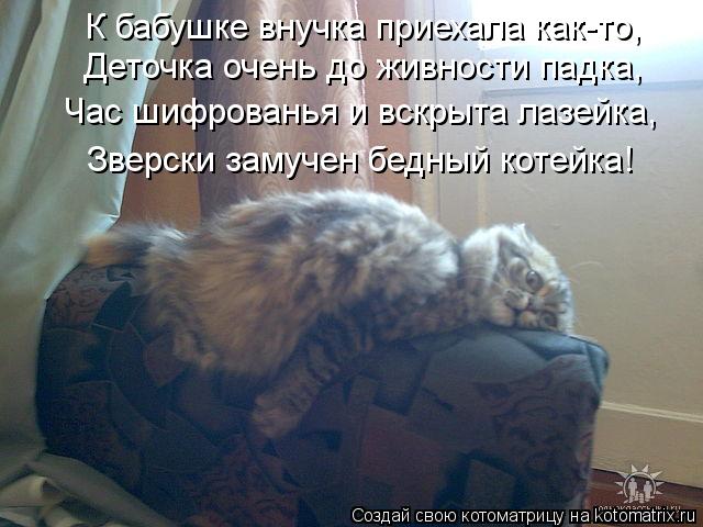 Котоматрица: К бабушке внучка приехала как-то, Деточка очень до живности падка, Час шифрованья и вскрыта лазейка, Зверски замучен бедный котейка!