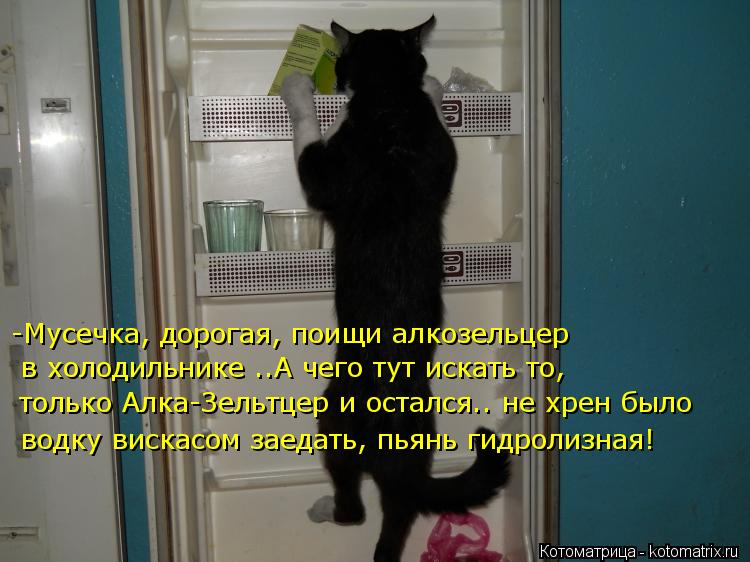 -Мусечка, дорогая, поищи алкозельцер в холодильнике ..А чего тут искать то, только Алка-Зельтцер и ос... Котоматрица: -Мусечка, дорогая, поищи алкозельцер в холодильнике ..А чего тут искать то, только Алка-Зельтцер и остался.. не хрен было водку вискасом заеда