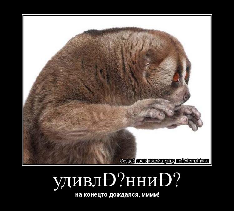 удивленние на конецто дождался, мммм!... Котоматрица: удивленние на конецто дождался, мммм!