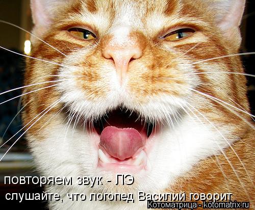 Котоматрица: повторяем звук - ЛЭ слушайте, что логопед Василий говорит