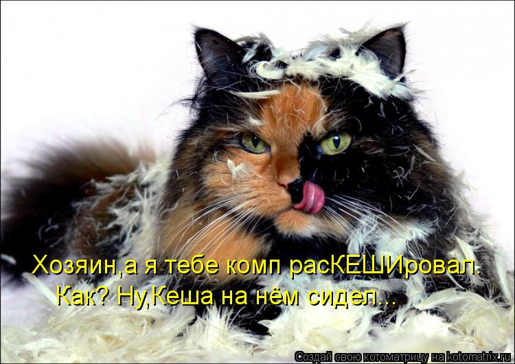 Хозяин,а я тебе комп расКЕШИровал. Как? Ну,Кеша на нём сидел...... Котоматрица: Хозяин,а я тебе комп расКЕШИровал. Как? Ну,Кеша на нём сидел...