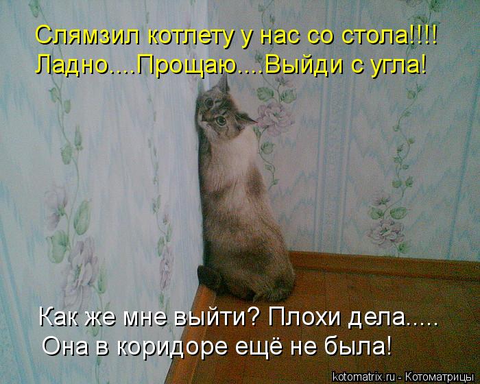 Слямзил котлету у нас со стола!!!! Ладно....Прощаю....Выйди с угла! Она в коридоре ещё не была! Как ж... Котоматрица: Слямзил котлету у нас со стола!!!! Ладно....Прощаю....Выйди с угла! Она в коридоре ещё не была! Как же мне выйти? Плохи дела.....