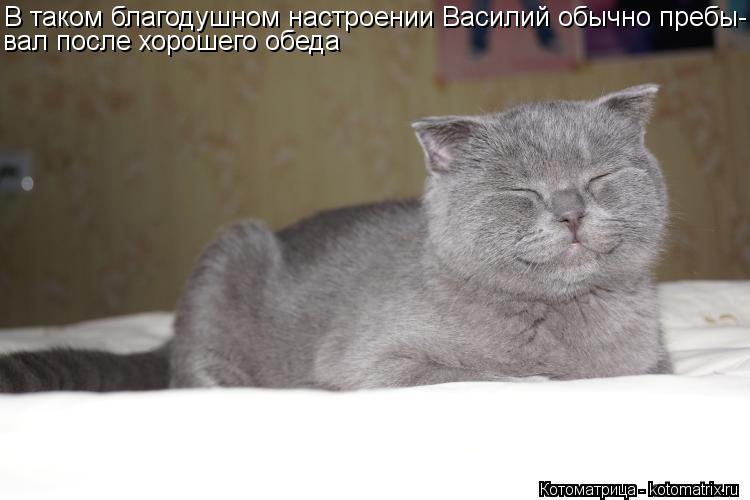 Котоматрица: В таком благодушном настроении Василий обычно пребы- вал после хорошего обеда