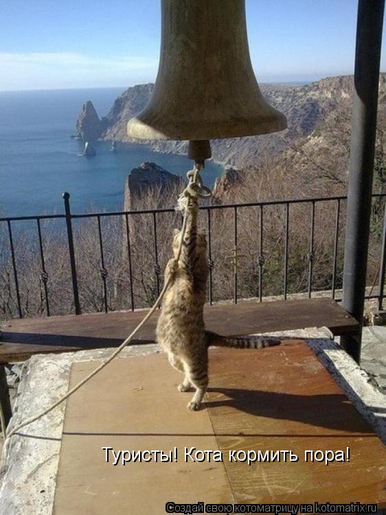 Туристы! Кота кормить пора!... Котоматрица: Туристы! Кота кормить пора!
