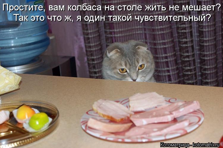 Котоматрица: Простите, вам колбаса на столе жить не мешает? Так это что ж, я один такой чувствительный?