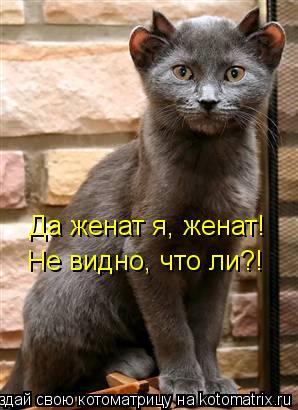 Да женат я, женат! Не видно, что ли?!... Котоматрица: Да женат я, женат! Не видно, что ли?!
